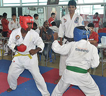 adyar_karate_institute,_karate_institute_in_adyar,_adyar_karate