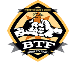 Karate_home_tuition, Born_to_fight, Fitness, chennai_karate