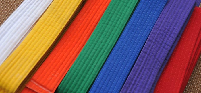 karate_institute_adyar, karate_institute_thiruvanmiyur, besant_nagar
